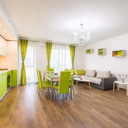 2 Narcis * Brasov