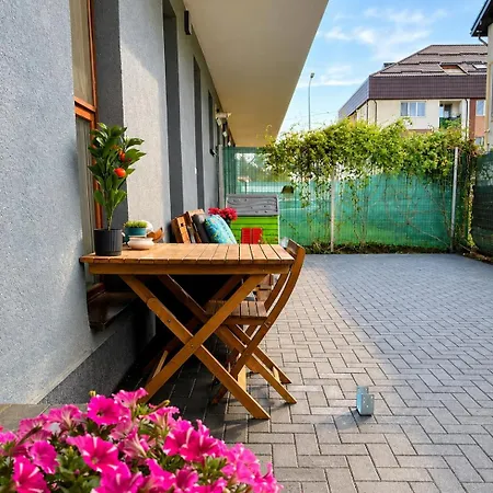 2 Narcis Brasov